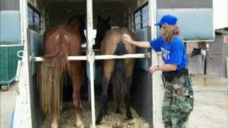 Rescuing horses from SoCal wildfires by Terri Steuben 2,228 views 12 years ago 1 minute, 58 seconds