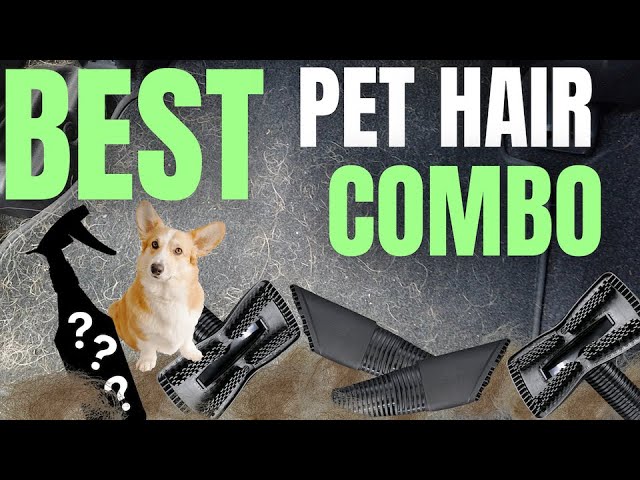 Comparing Three Pet Hair Removers. Which One is Best? 