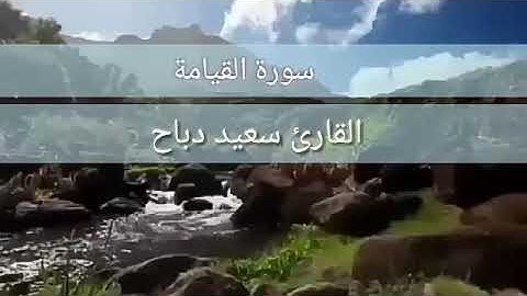 سورة القيامة للقارئ سعيد دباح الجزائري  تلاوة مميزة
