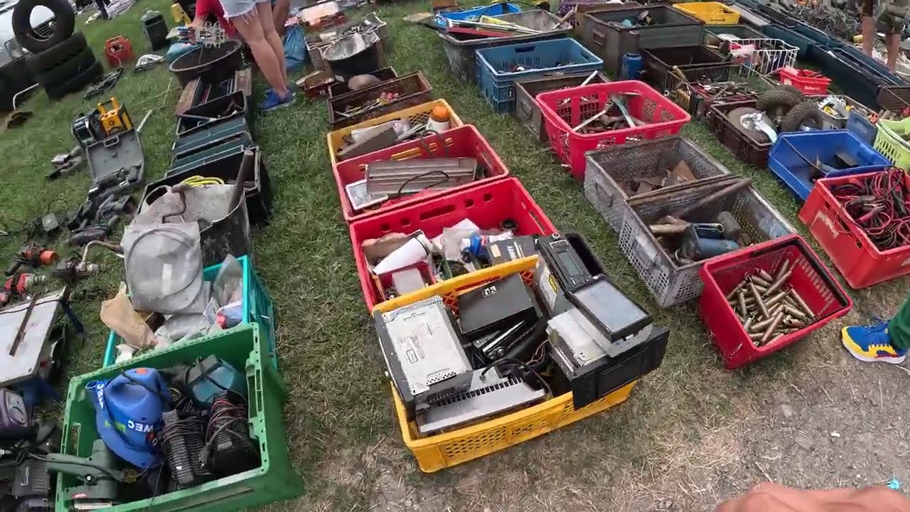 A vrut 200 EURO, dar l-am luat cu 150 LEI! Ce am găsit la târgul din Mediaș m-a lăsat fără cuvinte!