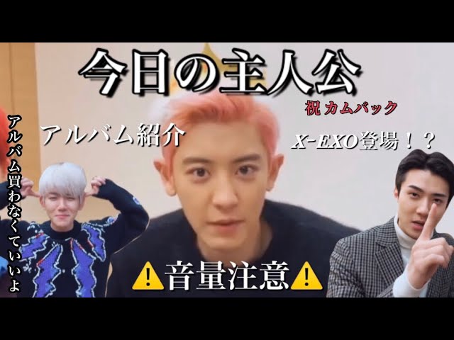 Exoの個性溢れるマフィアゲーム 日本語字幕 Youtube