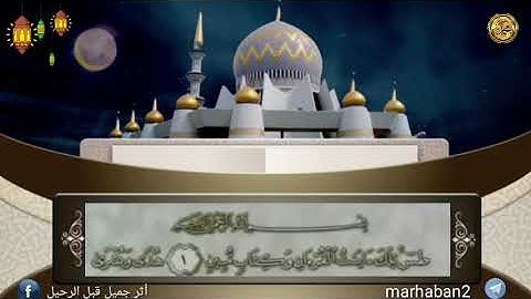 القرآن الكريم(الجزء التاسع عشر ) بصوت الشيخ محمد أيوب سورةالشعراءوالنمل من الأية(١٦٩)إلى الأية(٥٥)