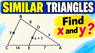Similar Triangles | Find the Value of x? | Maths Challenge