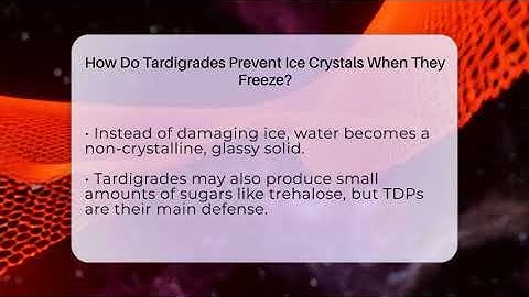 How Do Tardigrades Prevent Ice Crystals When They Freeze? - Strange Science HQ