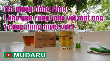 Trà mướp đắng rừng  khổ qua rừng pha với mật ong , 7 công dụng tuyệt với !