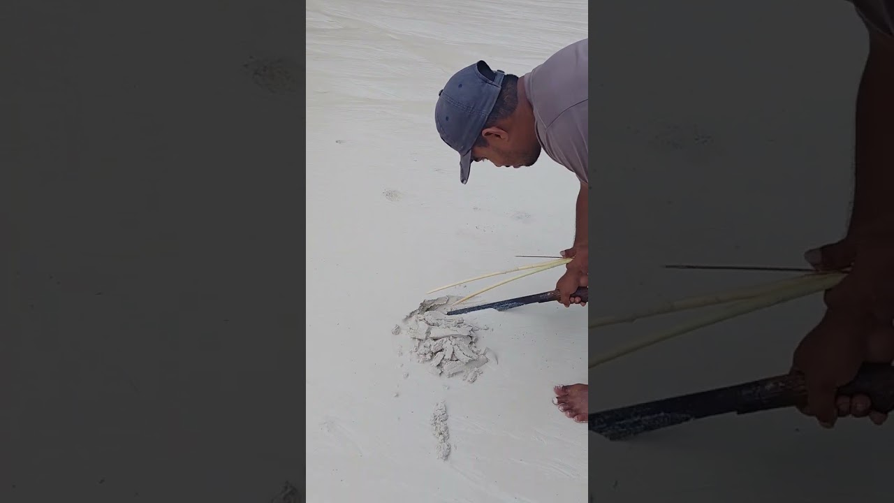 MENCARI CACING LAUT DI TUAL MALUKU TENGGARA