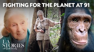 Dr. Jane Goodall: Lessons from a lifetime with chimpanzees | LA Stories screenshot 4