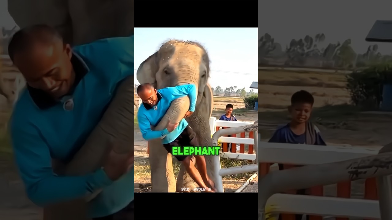 Baby Elephant Refused to Let Him Leave 🐘❤️