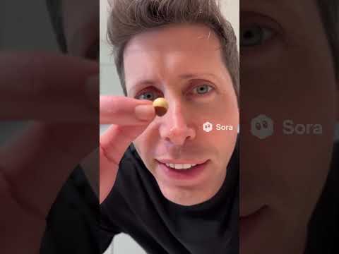 How To Roast Hazelnuts By Sam Altman Ai Parody