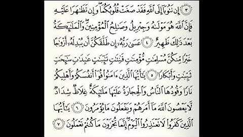 تلاوات مختارة سورة التحريم القارئ محمد العريفي