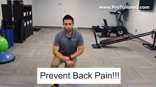 Best Core Exercises For Preventing Low Back Pain!!!