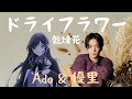 Ado &amp; 優里 ドライフラワー 乾燥花 Dry Flower【中日字幕】🐜【白蟻の音楽分享】