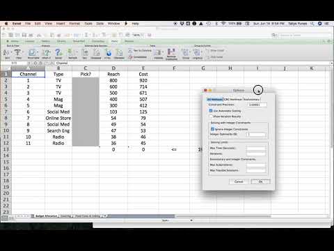 Integer Programming: Budget