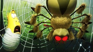 LARVA | L'araignée | 2019 | Dessins Animés Pour Enfants | WildBrain en français