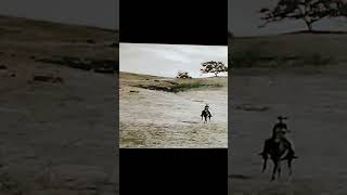 the rifleman