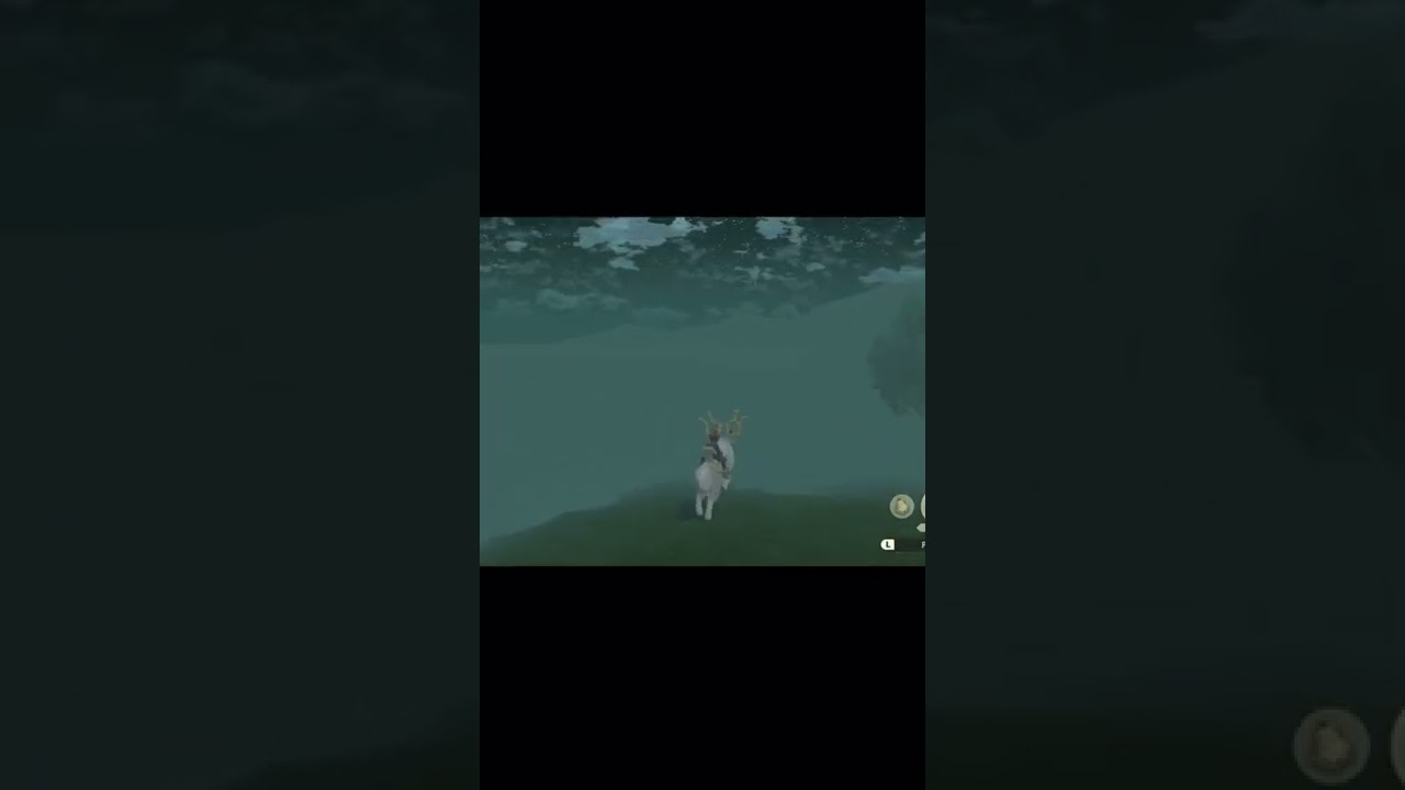 Pokémon Legends Arceus Funny moment 🤣