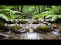 Sleep to Natural Water Flow | No Talking ASMR