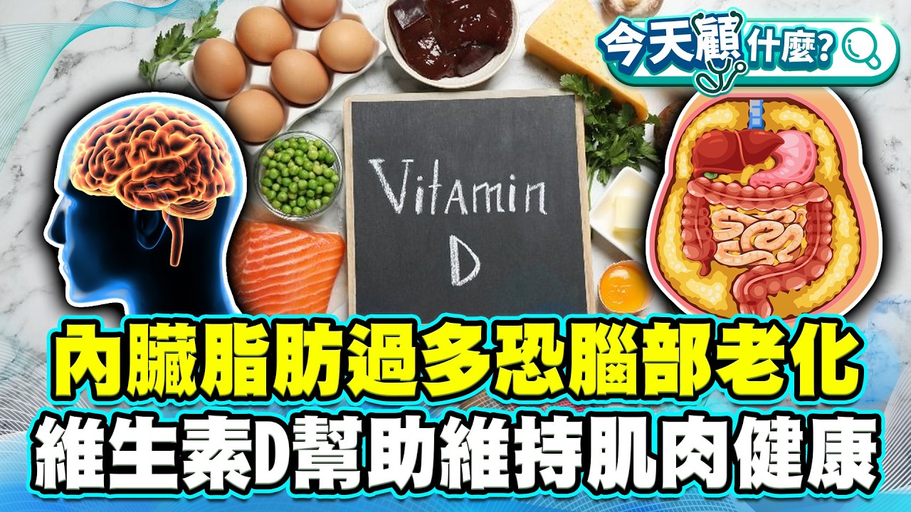 內臟脂肪過多恐增腦部老化風險！維生素D可維持肌肉健康、大腦功能！【#今天顧什麼？】健康2.0 ​ @tvbshealth20​