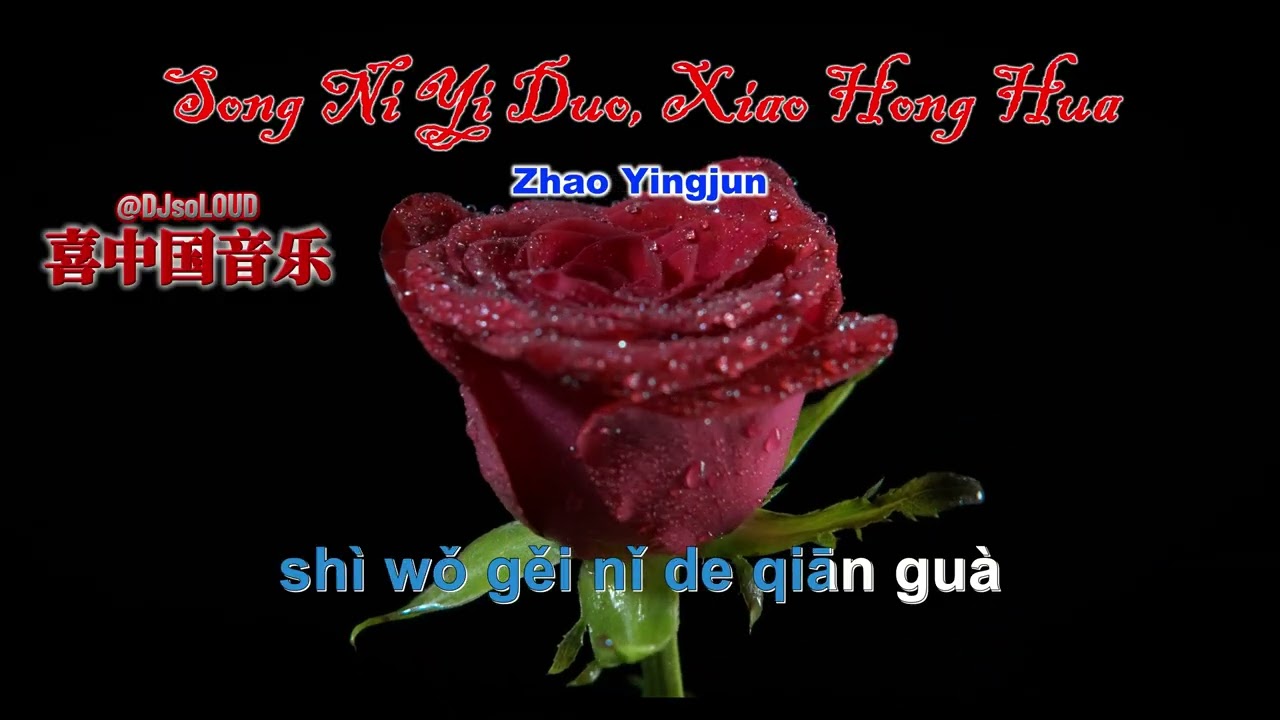 Song Ni Yi Duo, Xiao Hong Hua Zhao Yingjun @DJsoLOUD