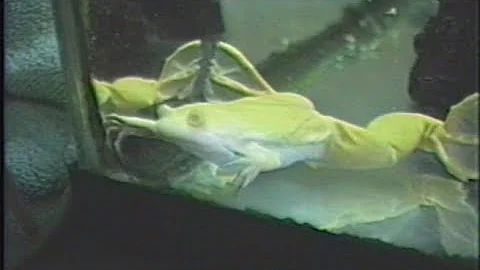 Exercising the 1986 JVC GR-C7 VHS-C camcorder