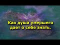 Как душа умершего дает о себе знать.