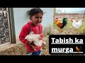 Tabish ka murga 🐓 | ये रहा ताबिश का मुर्गा 🐔 | my new Vlog