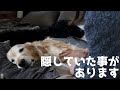 ここ数日間の事をお話しようと思います
