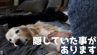 ここ数日間の事をお話しようと思います