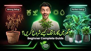 Home Gardening Complete Setup Guide 🪴🌱 | Beginner Gardening Urdu | Green Doctor Urdu