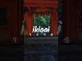 Filosofia japonesa do IKIGAI