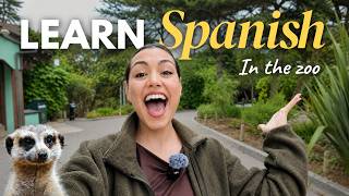 Thumbnail image for A Day at the Zoo 🦁 | Learn Spanish with Real Animal Vocabulary