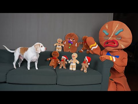 dog-vs-gingerbread-man-army-prank:-funny-dogs-maymo-&-potpie-christmas-pranks