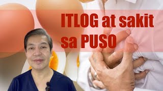 Latest sa itlog at sakit sa puso