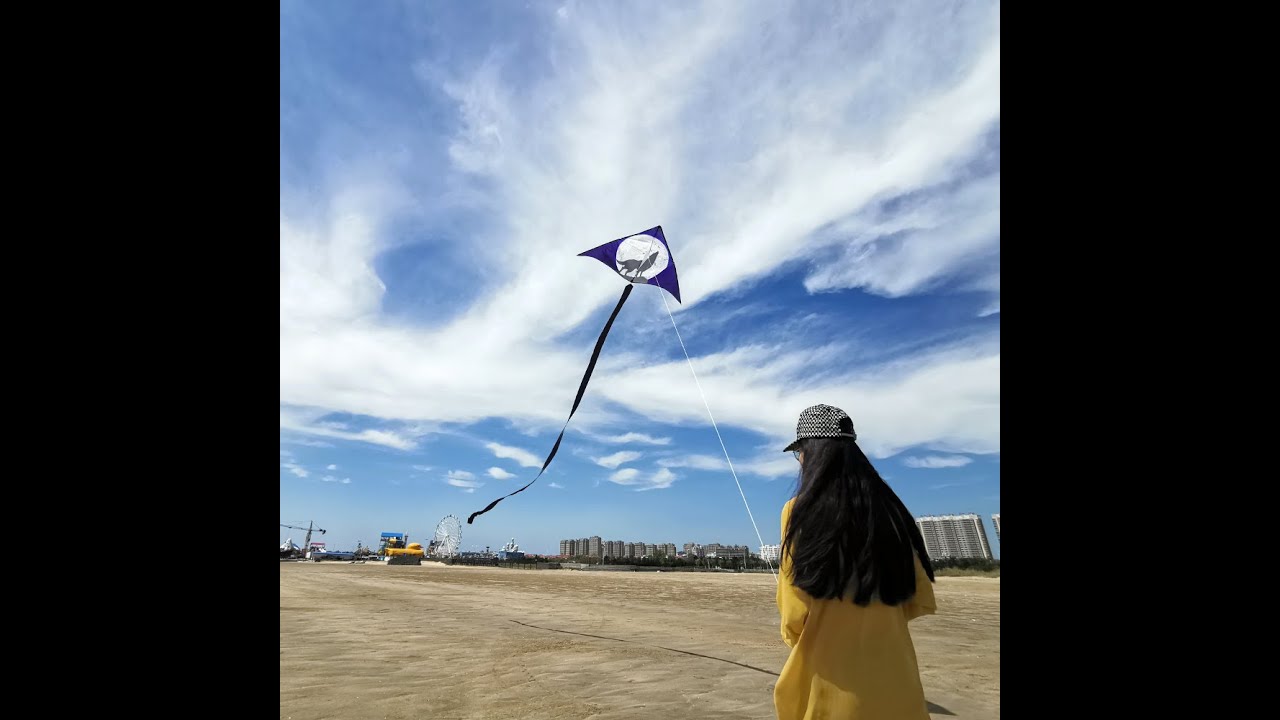 Mint's Colorful Life Wolf Kite Assembly Video! YouTube