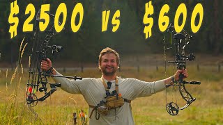 $600 Bow VS $2,500 Bow