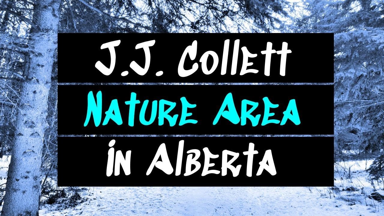 JJ Collett Nature Area in Lacombe, Alberta