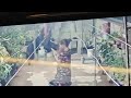 My maid was drying clothes on the terrace while on a video call.