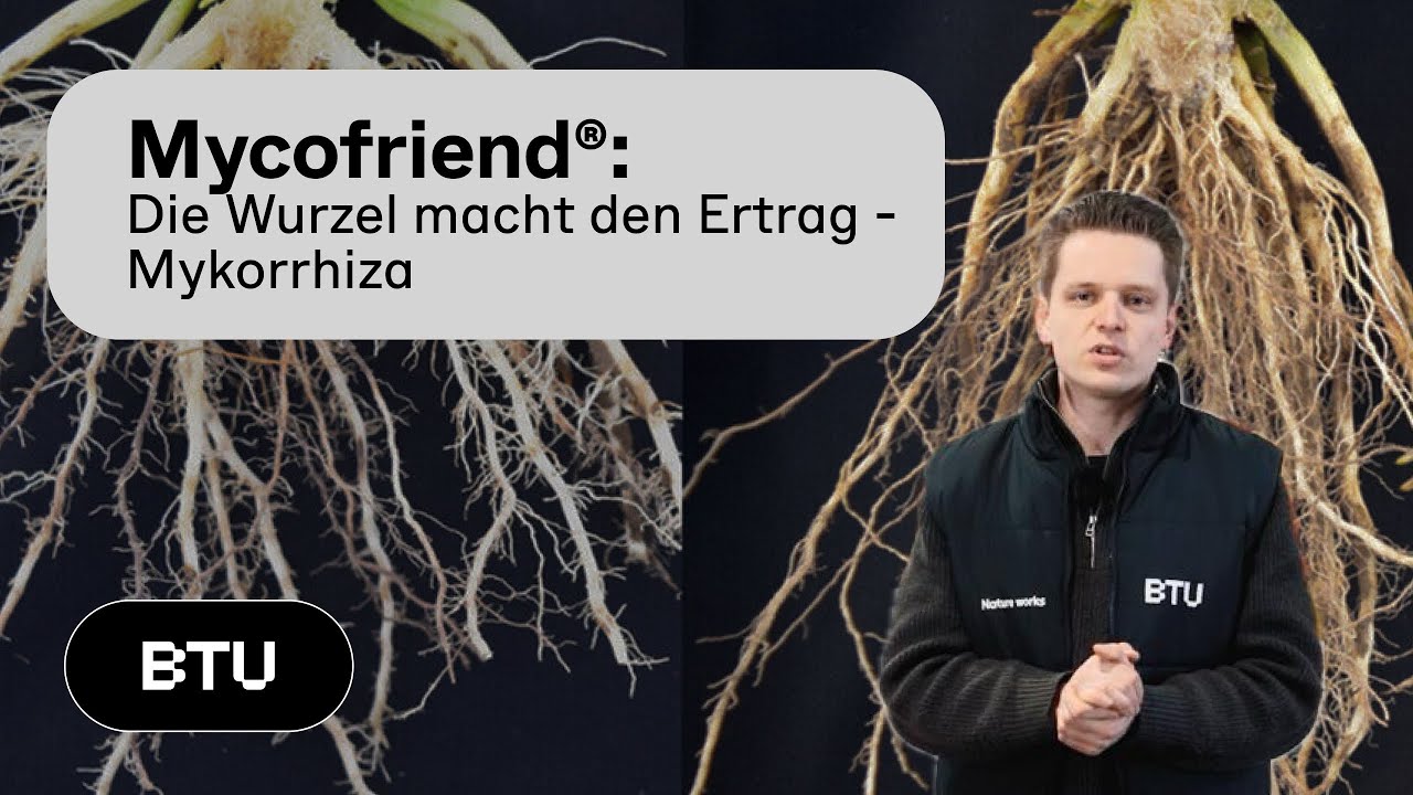 Mycofriend®: Symbiose mit Mykorrhiza effektiv nutzen