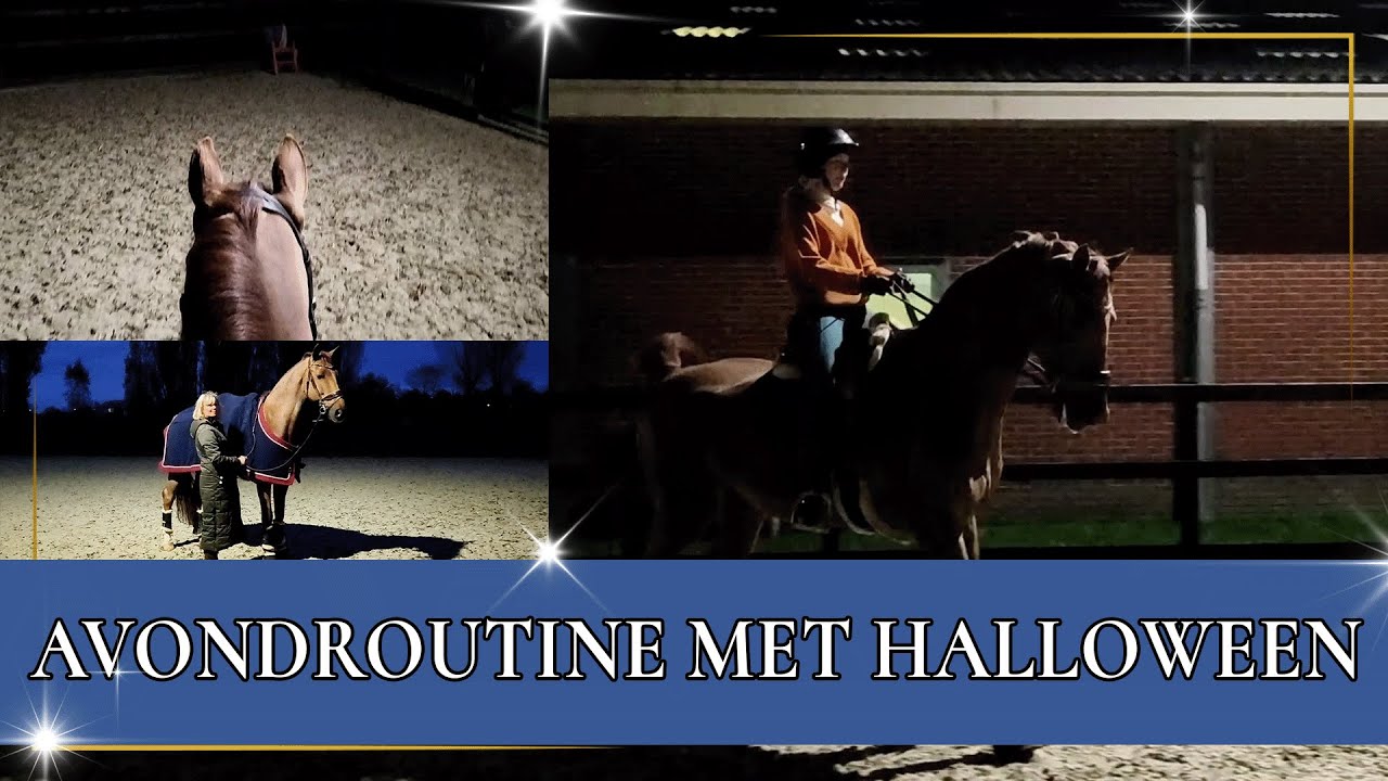 Met Halloween in het donker trainen! | PaardenpraatTV