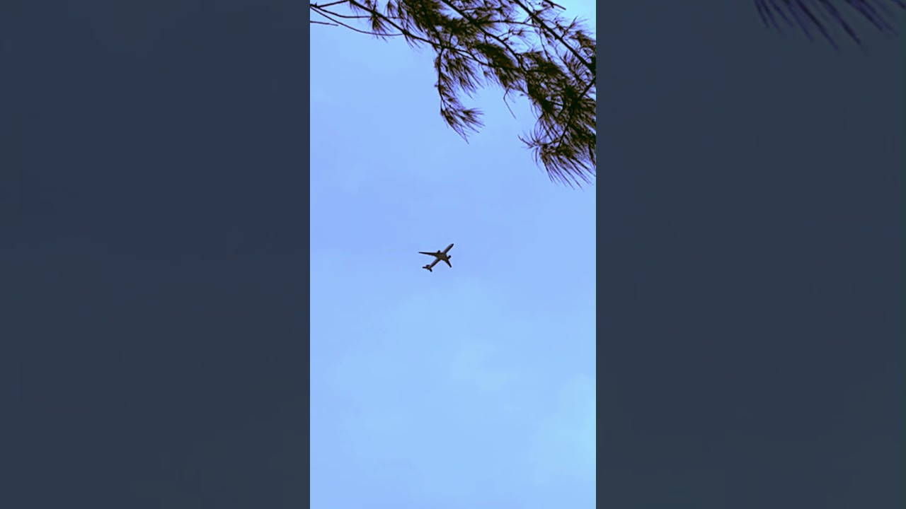 HEAVIEST AIR TRAFFIC ✈️🦅😎 ZERO STRESS 