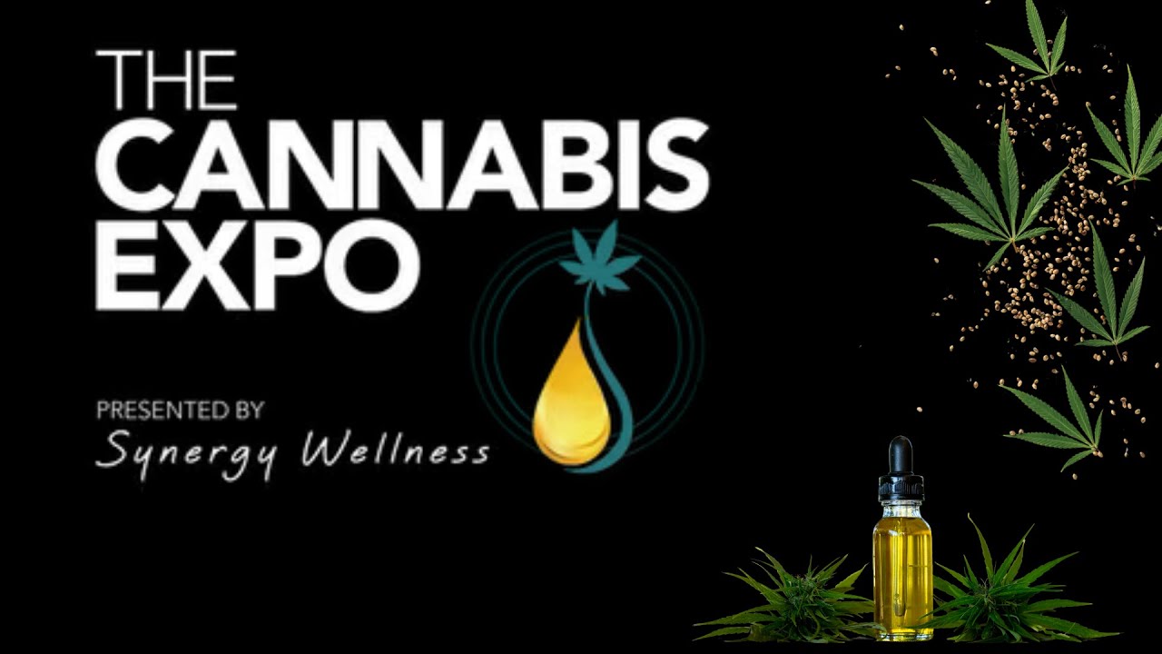 The Cannabis Expo 2025 | A Look Back at Johannesburg's Cannabis Extravaganza