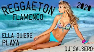 REGGAETON FLAMENCO - Ella Quiere Playa - Remix Dj SaLsErO