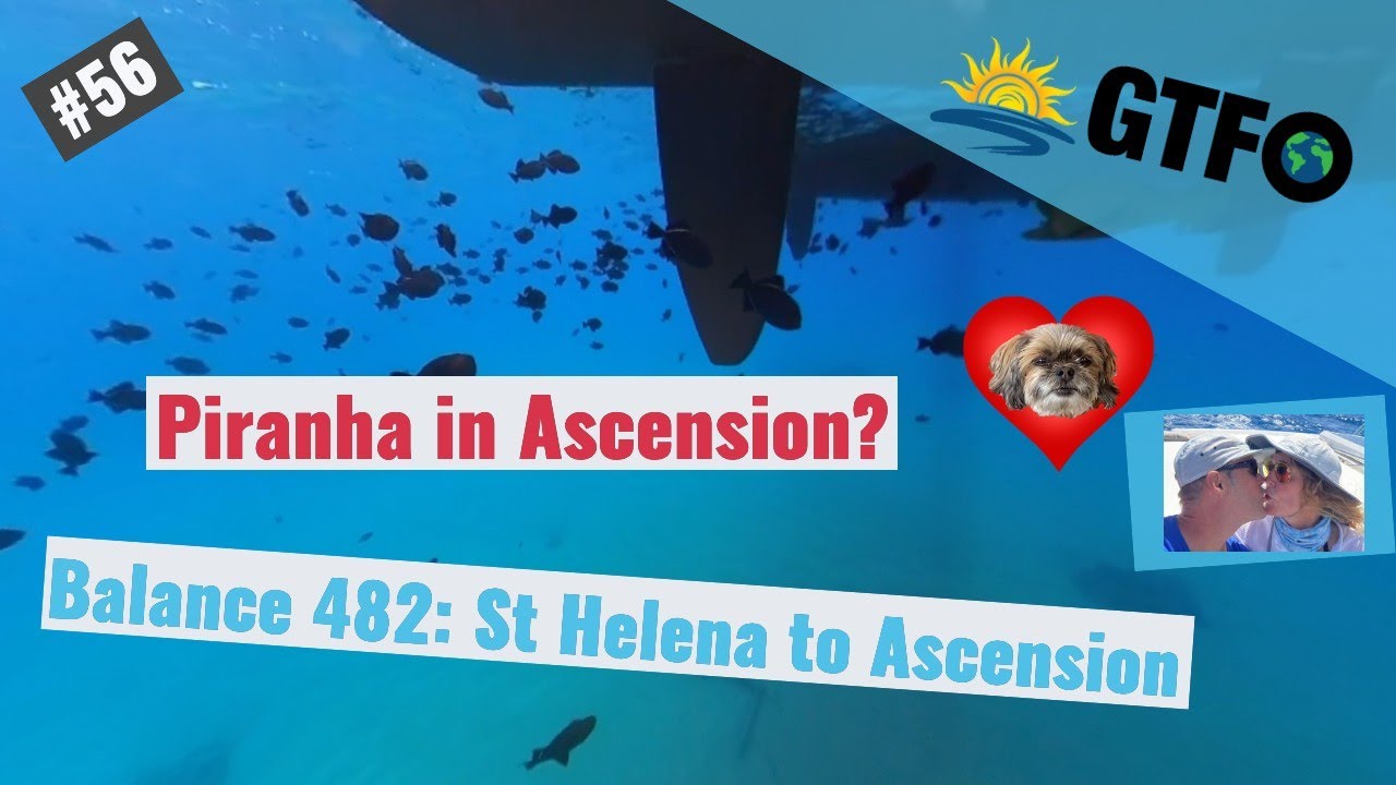 ⁣GTFOplan #56: Piranhas frenzy in Ascension Island!?