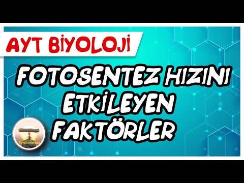 Video: Bulanıklık fotosentezi nasıl etkiler?