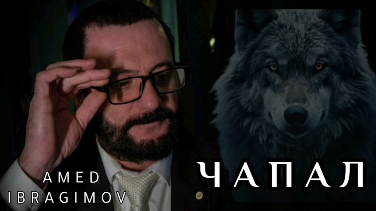 ЧАПАЛ, AMED IBRAGIMOV 