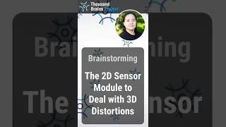 Summary - The 2D Sensor Module to Deal with 3D Distortions
