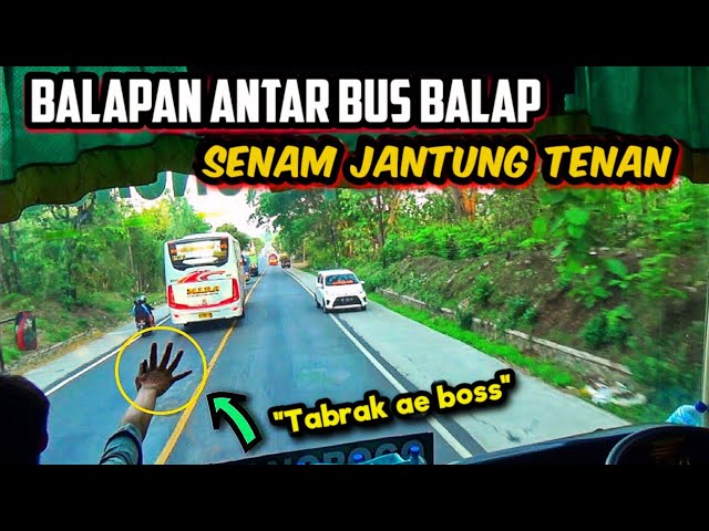 TABRAK !! AKSI NGEBLONG YANG LAGI VIRAL !! 🔥 | Video Aksi Balapan Gila Bus Jawatimuran class=