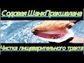 Содовая Шанк Пракшалана. Самый эффективный способ очищения всего пищеварительного тракта!