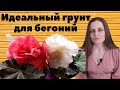 ИДЕАЛЬНЫЙ ГРУНТ ДЛЯ БЕГОНИИ. Высаживаю бегонии в основные кашпо.