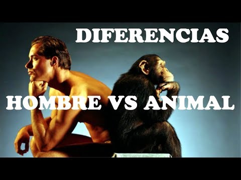 Vídeo: Diferencia Entre Animal Y Humano